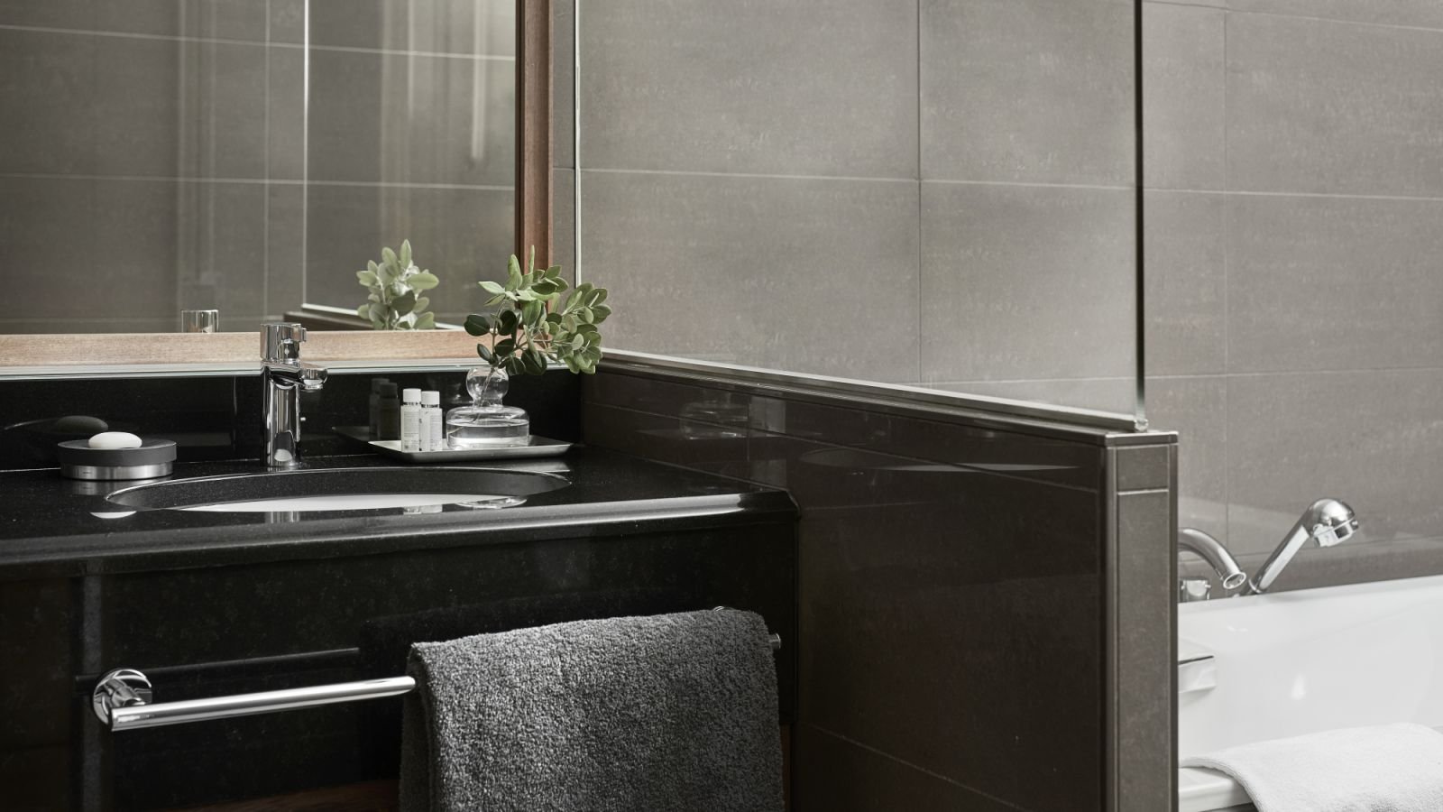 Hotel_Haven_Town_Square_Suite_bathroom_001.jpg